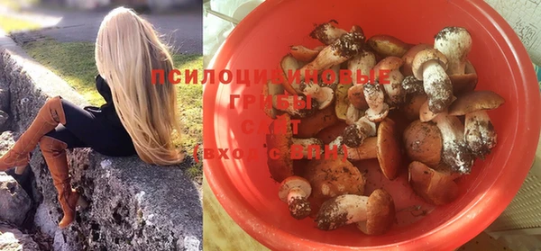 дмт Приозерск