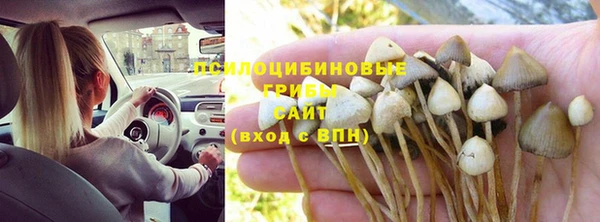 стаф Валуйки