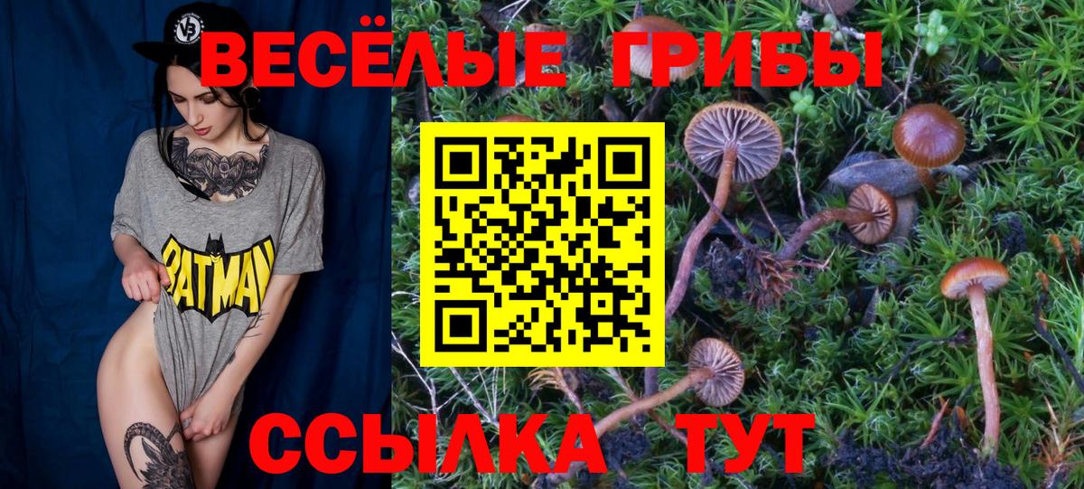 Галлюциногенные грибы Psilocybe  Галлюциногенные грибы GOLDEN TEACHER  Ярославль 
