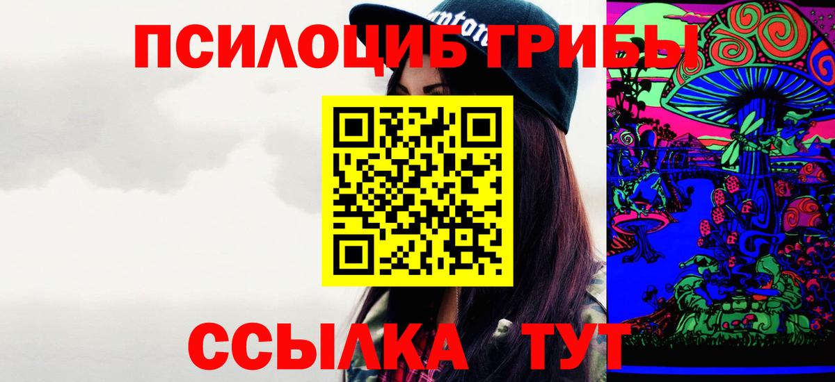 Ярославль  Псилоцибиновые грибы прущие грибы  Вход с VPN  Псилоцибиновые грибы Psilocybe 