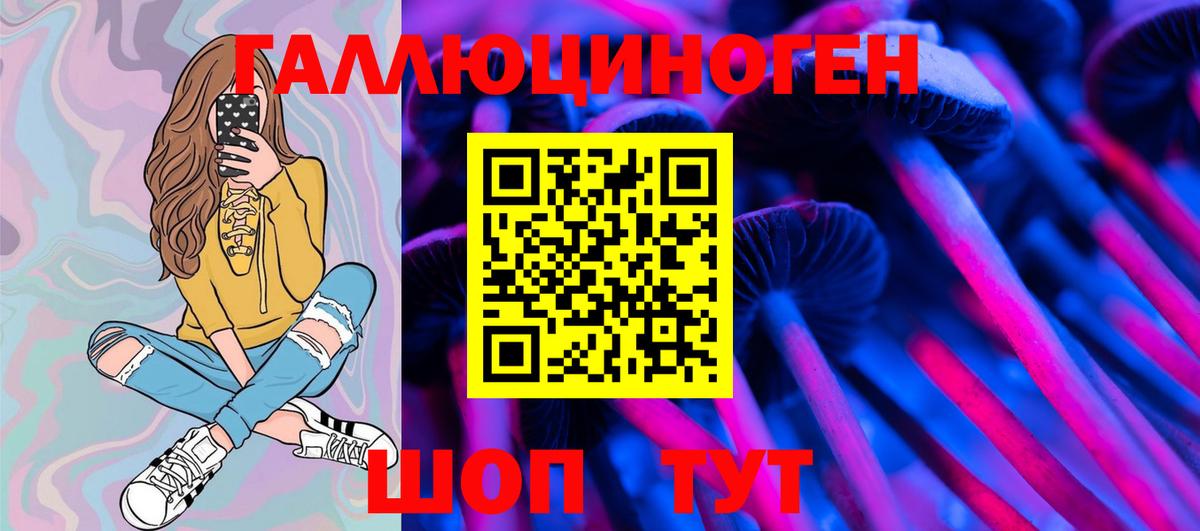 Галлюциногенные грибы Psilocybe Ярославль